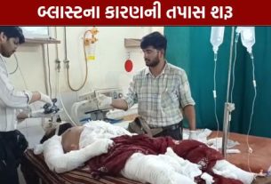 જામનગર (Jamnagar)શહેરના દરેડ GIDC વિસ્તારમાં આવેલા એક કારખાનામાં સોમવારે અચાનક ભઠ્ઠીમાં બ્લાસ્ટ (Blast) થતાં અફરાતફરીનો માહોલ સર્જાયો હતો