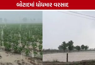Botad Rain નાગનેશમાં મેઘરાજાની ધમાકેદાર એન્ટ્રી, ખેતરોમાં પાણી વહેતા થયા
