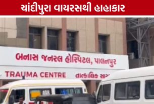 Chandipura Virus Death: તાવ-ઉલટી બાદ આંચકી આવી, ચાંદીપુરા વાયરસે છીનવી બાળકીનો જીવ