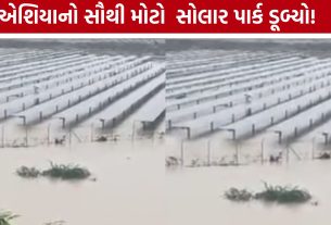 Charanka Solar Park: એશિયાના સૌથી મોટા સોલાર પાર્ક પર વરસાદી સંકટ