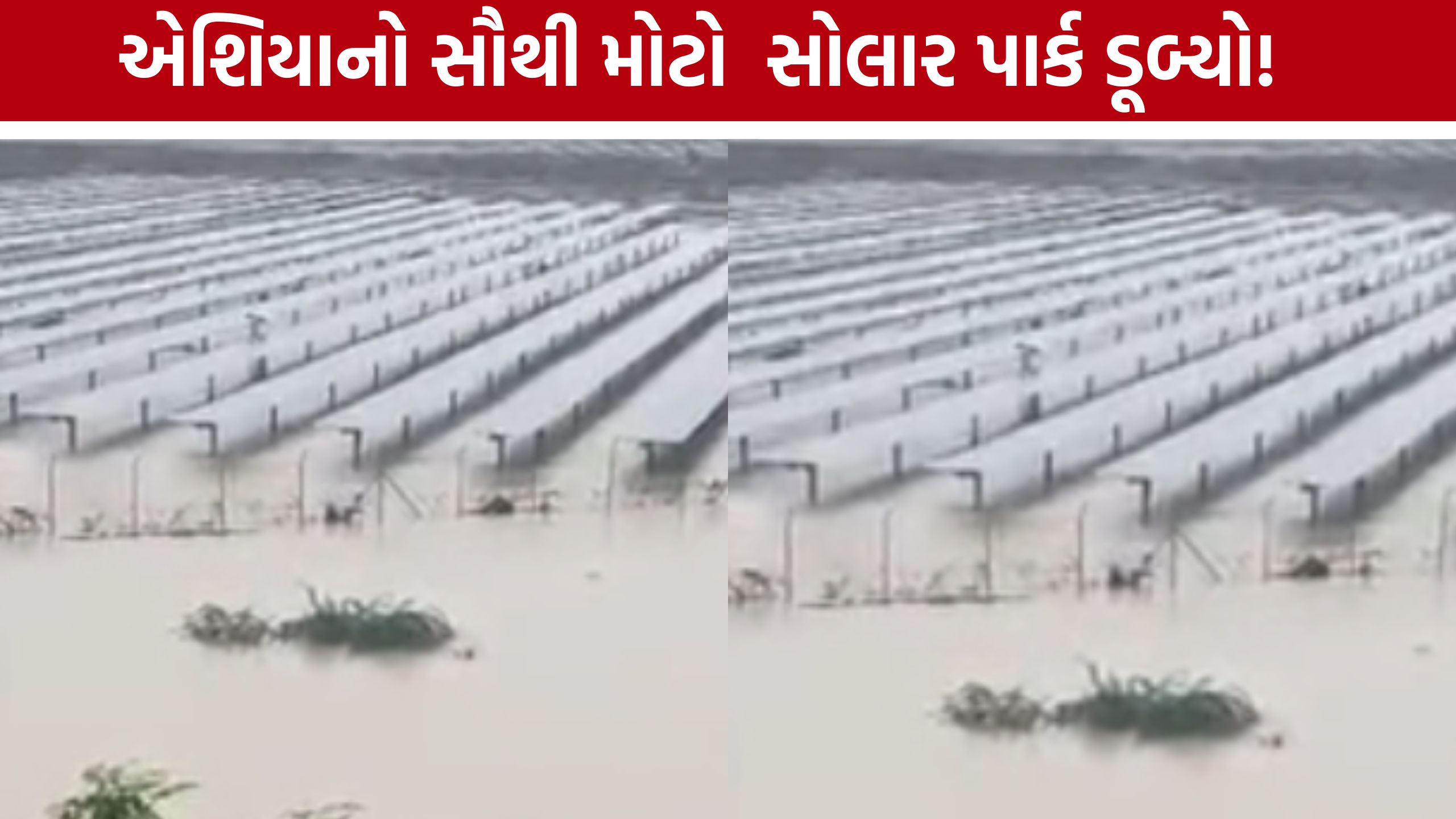 Charanka Solar Park: એશિયાના સૌથી મોટા સોલાર પાર્ક પર વરસાદી સંકટ