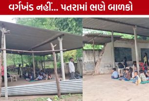 Saidivasan Primary School : વરસાદમાં ટપકતું શેડ, સાપ-કૂતરાનો ભય; છોટા ઉદેપુરની શાળાની વેદના