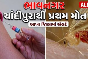 ગુજરાતમાં ચાંદીપુરા વાયરસ (Chandipura Virus)નો ખતરો સતત વધી રહ્યો છે. હવે ભાવનગર જિલ્લામાં પણ આ વાયરસથી પ્રથમ મૃત્યુ નોંધાતા આરોગ્ય વિભાગ સતર્ક બન્યો છે