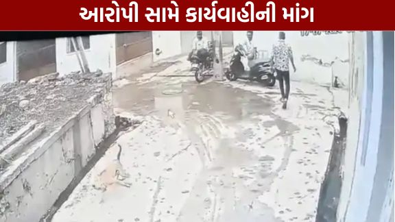 મોરબી (Morbi) શહેરમાં નિર્દોષ રખડતા શ્વાન (Dog)પર કરવામાં આવેલી ક્રૂરતા (Cruelty)ની ઘટના સામે આવતા લોકોમાં ભારે રોષ ફેલાયો છે