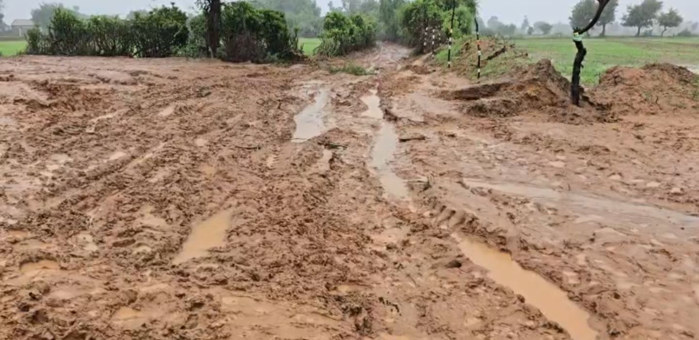 Gujarat Flood Update: જિલ્લાઓમાં પૂર જેવી સ્થિતિ