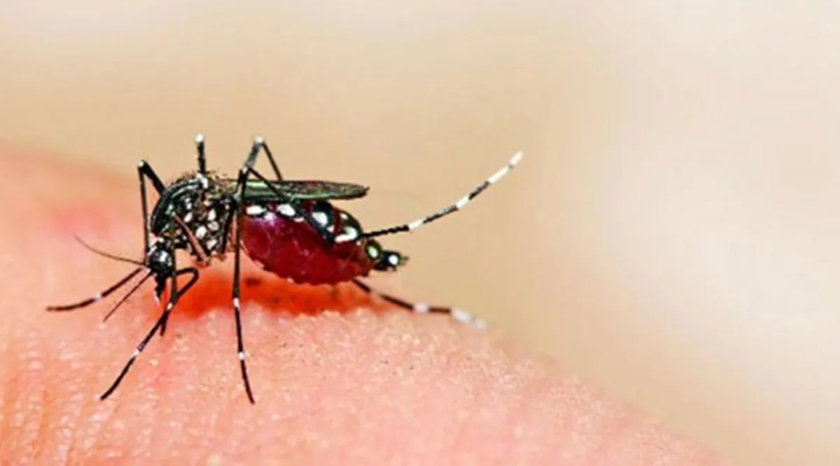 Monsoon Diseases: અમદાવાદમાં રોગચાળો બેકાબૂ