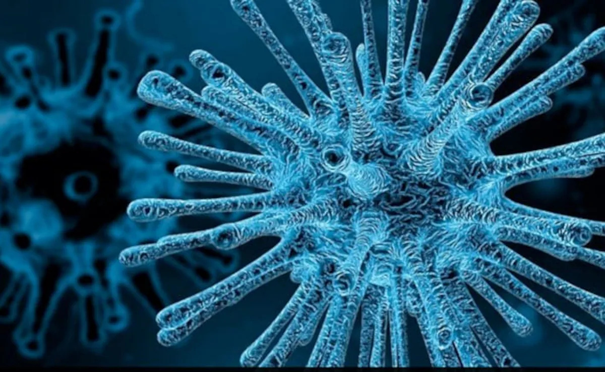 Sabarkantha Chandipura Virus: 3 પોઝિટિવ, 5 બાળકોનાં મોત