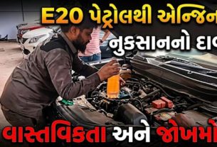 દેશભરમાં પર્યાવરણને અનુકૂળ ઇંધણ તરીકે E20 પેટ્રોલ (E20 Petrol)ને પ્રોત્સાહન આપવામાં આવી રહ્યું છે. જોકે, આ દરમિયાન છત્તીસગઢના રાયપુરમાંથી સામે આવેલા એક કેસે E20 ઇંધણ અને વાહનોની સુસંગતતા અંગે મહત્વના પ્રશ્નો ઉભા કર્યા છે
