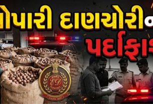 મ્યાનમારથી વિદેશી મૂળની સોપારીની દાણચોરી (Smuggling)અને તેમાંથી મળેલી રકમને મની લોન્ડરિંગ મારફતે કાયદેસર બનાવવાના કથિત સંગઠિત રેકેટ સામે એન્ફોર્સમેન્ટ ડિરેક્ટોરેટ (ED)એ મોટી કાર્યવાહી હાથ ધરી છે