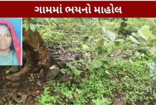 છોટાઉદેપુર (Chhota Udepur)જિલ્લાના કવાંટ તાલુકાના રાયસિંગપુરા ગામે  જંગલી જાનવરના હુમલા (Wild Animal Attack)ની હૃદયદ્રાવક ઘટના સામે આવી છે