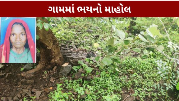 છોટાઉદેપુર (Chhota Udepur)જિલ્લાના કવાંટ તાલુકાના રાયસિંગપુરા ગામે  જંગલી જાનવરના હુમલા (Wild Animal Attack)ની હૃદયદ્રાવક ઘટના સામે આવી છે