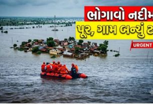 અમદાવાદ જિલ્લાના ધોલેરા (Dholera)તાલુકાના વણિતળાવ ગામમાં ઉપરવાસમાં પડેલા ભારે વરસાદના કારણે ભોગાવો નદીમાં પાણીનો પ્રવાહ (Bhogavo River Flood,)સતત વધી રહ્યો છે. નદીમાં આવેલા પૂર (Flood)થી ગામનો આસપાસના વિસ્તારો સાથેનો સંપર્ક સંપૂર્ણપણે તૂટી ગયો છે, જેના કારણે વણિતળાવ ગામ ટાપુ જેવી સ્થિતિમાં ફેરવાઈ ગયું છે.