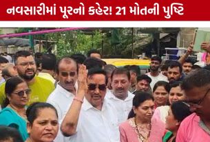 CR Patil Navsari Visit: નવસારીમાં પૂરની સમીક્ષા બાદ મોટો નિર્ણય, મૃતકોની સંખ્યા 21 થઈ