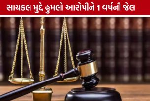 Pethapur Assault Caseમાં કોર્ટનો ચુકાદો, આરોપીને એક વર્ષની કેદ