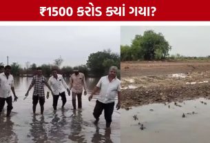 Ghed Region Flood Package::ખેડૂતોની મુશ્કેલી અને સરકારના દાવા; જાણો સમગ્ર મામલો
