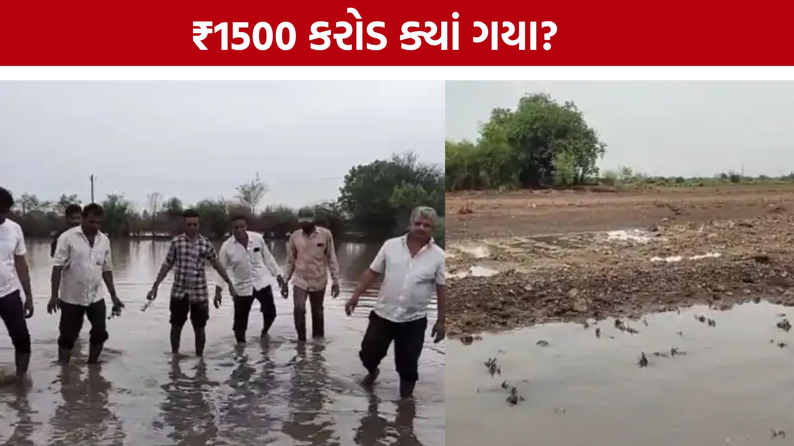 Ghed Region Flood Package::ખેડૂતોની મુશ્કેલી અને સરકારના દાવા; જાણો સમગ્ર મામલો