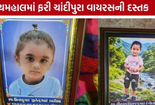 પંચમહાલમાં Chandipura Virusથી બે બાળકોના મોત