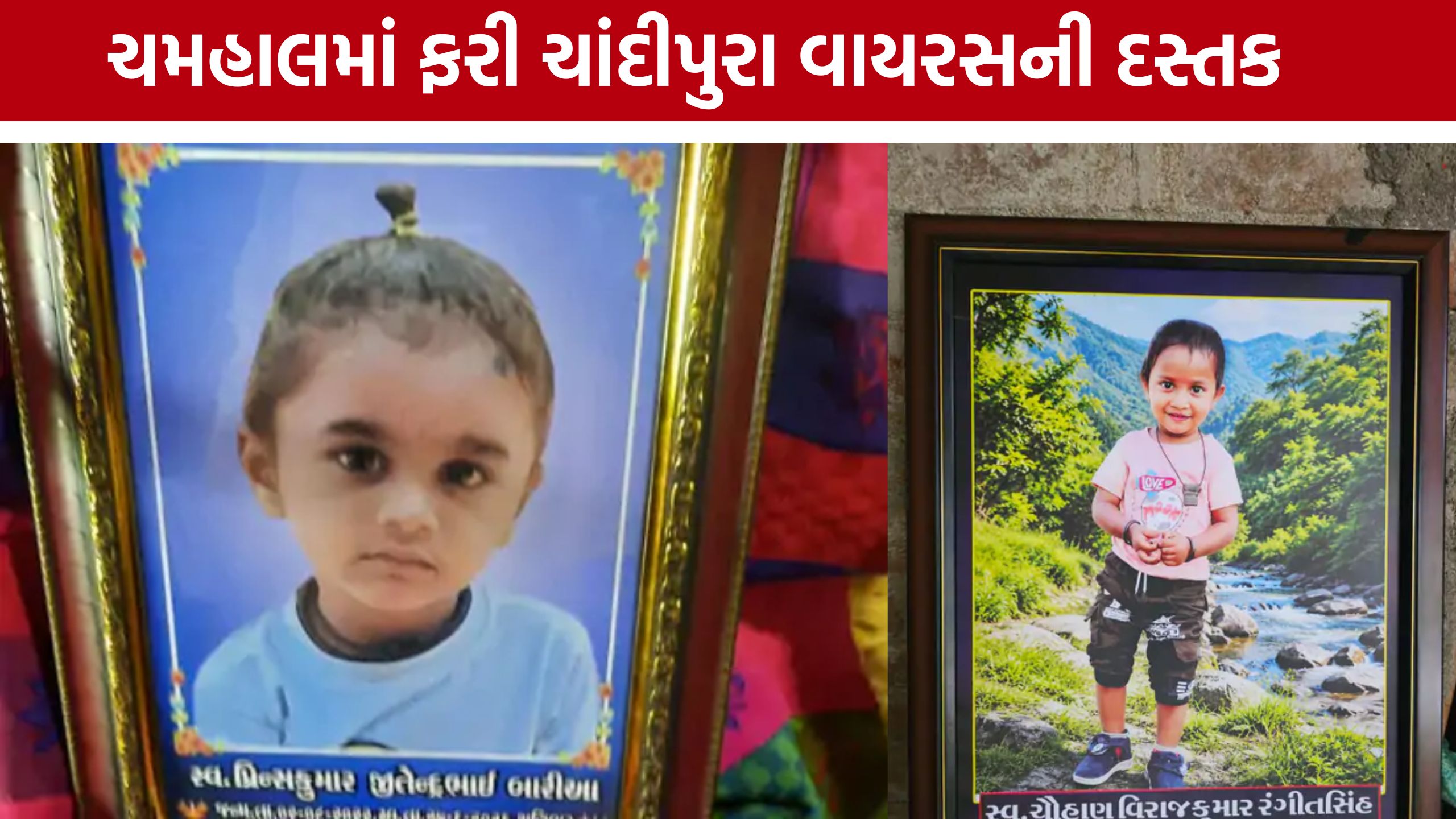 પંચમહાલમાં Chandipura Virusથી બે બાળકોના મોત