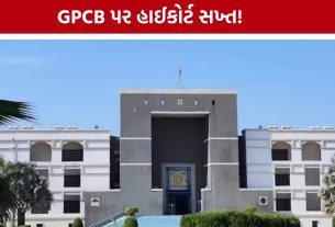 કચ્છના પ્રદૂષણ કેસમાં GPCBને Gujarat High Courtનો ઠપકો, જવાબદાર અધિકારી સામે તપાસ