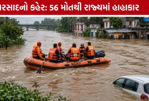Gujarat Heavy Rain:ગુજરાતમાં વરસાદી આફત યથાવત, 56 લોકોના કરુણ મોત