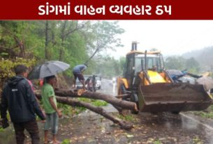 ડાંગ (Dang)જિલ્લામાં થઈ રહેલા ભારે વરસાદ (Heavy Rain)ને પગલે માર્ગ અને મકાન વિભાગ (પંચાયત) હસ્તકના 47 જેટલા માર્ગો પ્રભાવિત થવા પામ્યા છે.