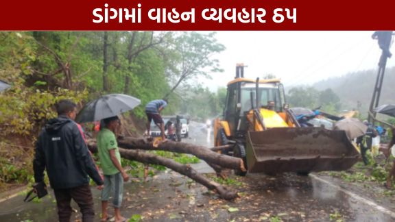 ડાંગ (Dang)જિલ્લામાં થઈ રહેલા ભારે વરસાદ (Heavy Rain)ને પગલે માર્ગ અને મકાન વિભાગ (પંચાયત) હસ્તકના 47 જેટલા માર્ગો પ્રભાવિત થવા પામ્યા છે.