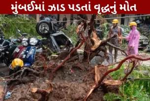 heavy-rain-in-maharashtra-1-dead
