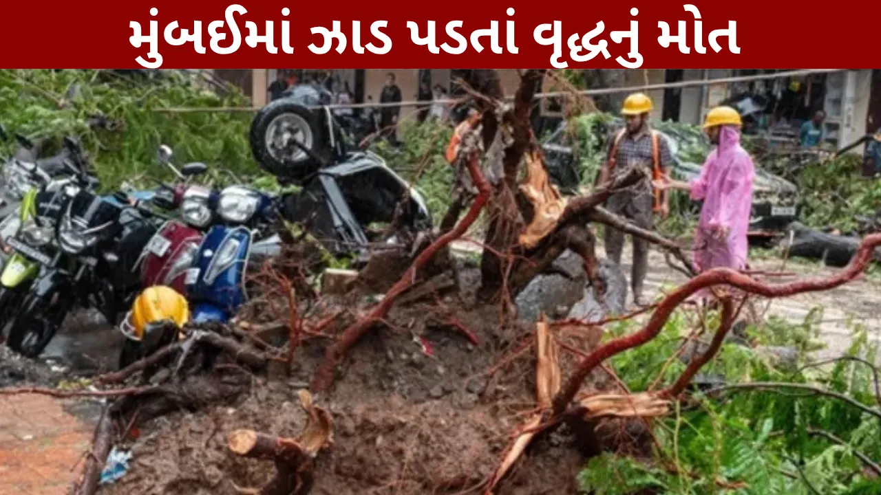 heavy-rain-in-maharashtra-1-dead