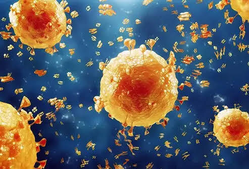 Influenza Virus: ફ્લૂ કેવી રીતે ફેલાય?