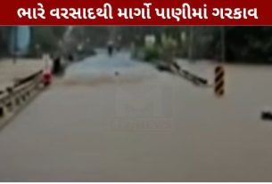 તાપી (Tapi)જિલ્લામાં સતત વરસી રહેલા ભારે વરસાદ (Rain)ના કારણે જનજીવન પર વ્યાપક અસર જોવા મળી રહી છે