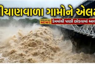 જિલ્લામાં સતત વરસાદ અને ડેમ (Dam)માં વધતી જળ આવકને ધ્યાનમાં રાખીને રાવલ ડેમ (Raval Dam)માંથી પાણી છોડવા (Water Release)માં વધારો કરવામાં આવ્યો છે