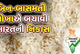 બિન-બાસમતી (Non Basmati Rice)ચોખાની વધતી વૈશ્વિક માંગે કુલ નિકાસમાં વધારો કરવામાં મહત્વપૂર્ણ ભૂમિકા ભજવી છે.
