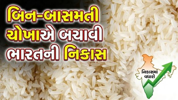 બિન-બાસમતી (Non Basmati Rice)ચોખાની વધતી વૈશ્વિક માંગે કુલ નિકાસમાં વધારો કરવામાં મહત્વપૂર્ણ ભૂમિકા ભજવી છે.