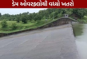 નવસારી (Navsari) જિલ્લામાં સતત વરસી રહેલા ભારે વરસાદના કારણે જૂજ ડેમ (Juj Dam)અને કેલિયા ડેમ ઓવરફ્લો (Overflow)થયા છે