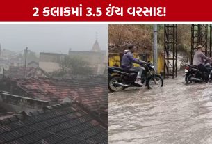 Bhesan Heavy Rain:જૂનાગઢમાં ધોધમાર વરસાદથી જનજીવન પ્રભાવિત