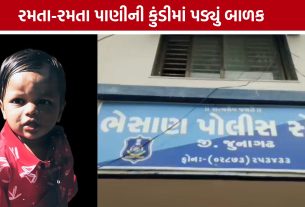 Junagadh Child Death: રમતાં રમતાં માસૂમ પહોંચ્યો મોતના મુખમાં, બાળકનું મોત