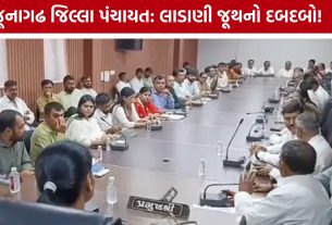 Junagadh District Panchayatની 9 સમિતિઓના ચેરમેન જાહેર, લાડાણી જૂથને મહત્વ