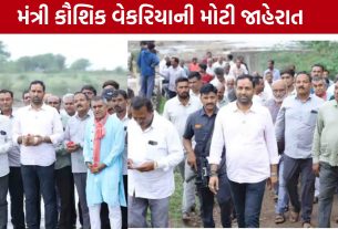 કુંકાવાવ-વડિયા વિસ્તારમાં મંત્રી Kaushik Vekariyaની મુલાકાત