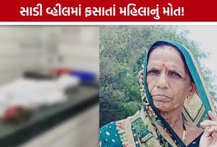 Keshod Accident: ભારે પવન બન્યો અકસ્માતનું કારણ, મહિલાનો જીવ ગયો