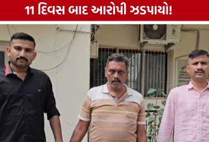 Kapadvanj Blast Case: ગેરકાયદે ફેક્ટરી ચલાવવાના આરોપી મિતુલ પટેલ SOGના સકંજામાં