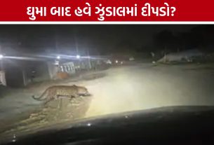 Leopard in Ahmedabad: ઘુમા પછી હવે ચાંદખેડા વિસ્તારમાં દીપડાની ચર્ચા, સ્થાનિકોમાં ફફડાટ