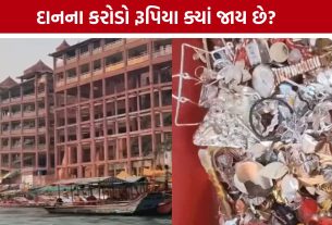 Temple Donation: દાનપેટીથી લઈને VIP દર્શન સુધીની આવક પર સવાલો