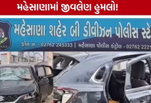 Mehsana Attack: મહિલા મિત્ર સાથે બેઠેલા યુવક પર હુમલો, બે તબક્કામાં મારપીટનો આરોપ