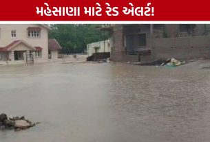 Mehsana Weather Update: ભારે વરસાદની આગાહી વચ્ચે મહેસાણા જિલ્લા તંત્ર સતર્ક, નાગરિકોને ખાસ સૂચના