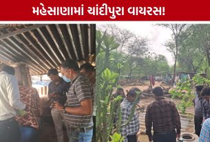 Mehsana Chandipura Virusનો ખતરો, ગામમાં દવાનો છંટકાવ શરૂ
