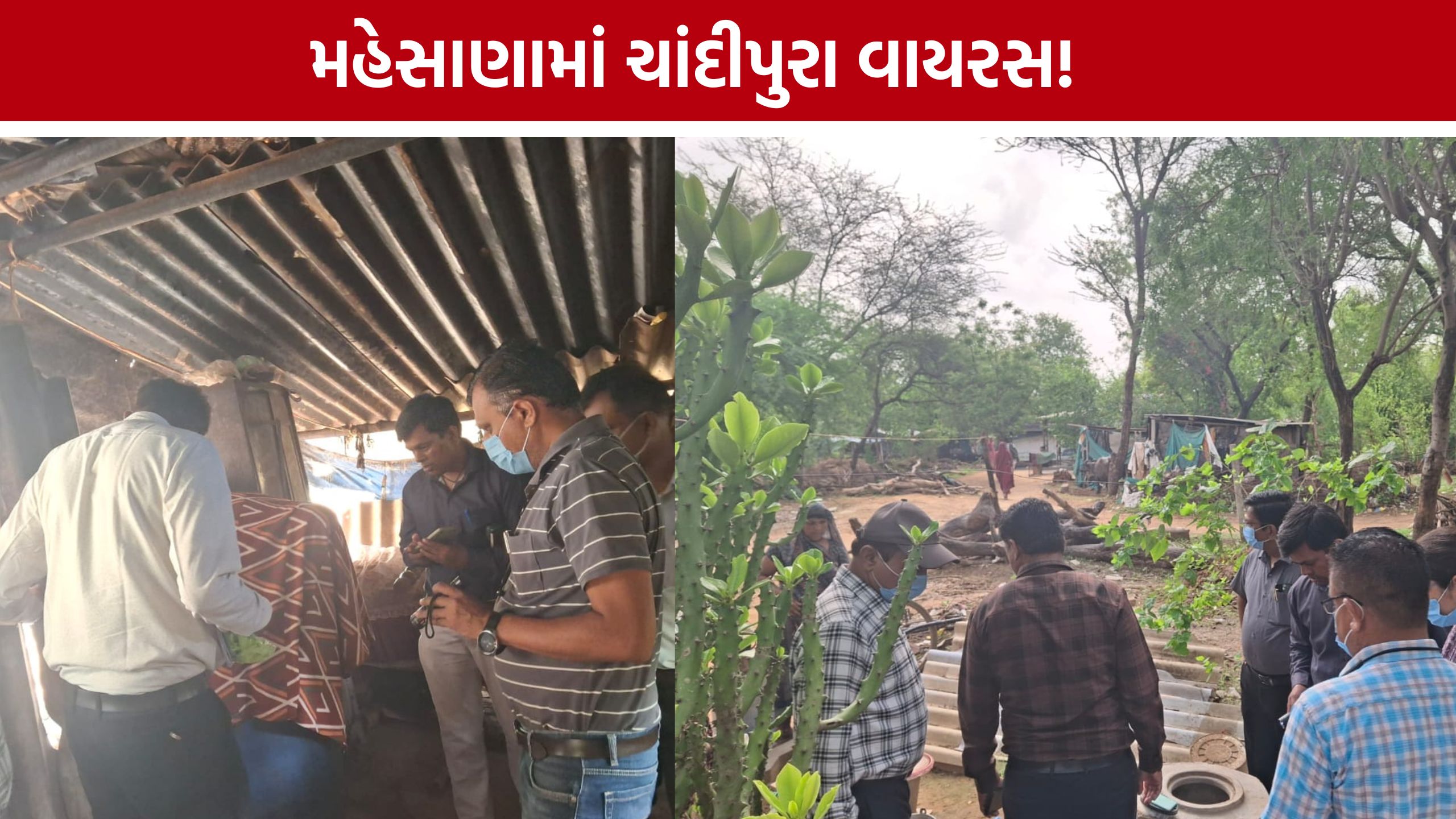 Mehsana Chandipura Virusનો ખતરો, ગામમાં દવાનો છંટકાવ શરૂ