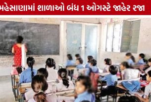 Mehsana School Holiday: વિદ્યાર્થીઓની સુરક્ષા પ્રથમ: મહેસાણા જિલ્લામાં આવતીકાલે તમામ સ્કૂલો બંધ રહેશે