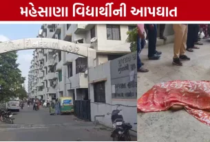 Mehsana Student Suicide:ધોરણ-7ની વિદ્યાર્થીનીએ આપઘાત કર્યો