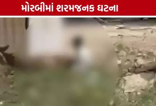 Cow Abuse Case: મોરબીમાં ગાય સાથે અશ્લીલ હરકતનો વીડિયો વાયરલ