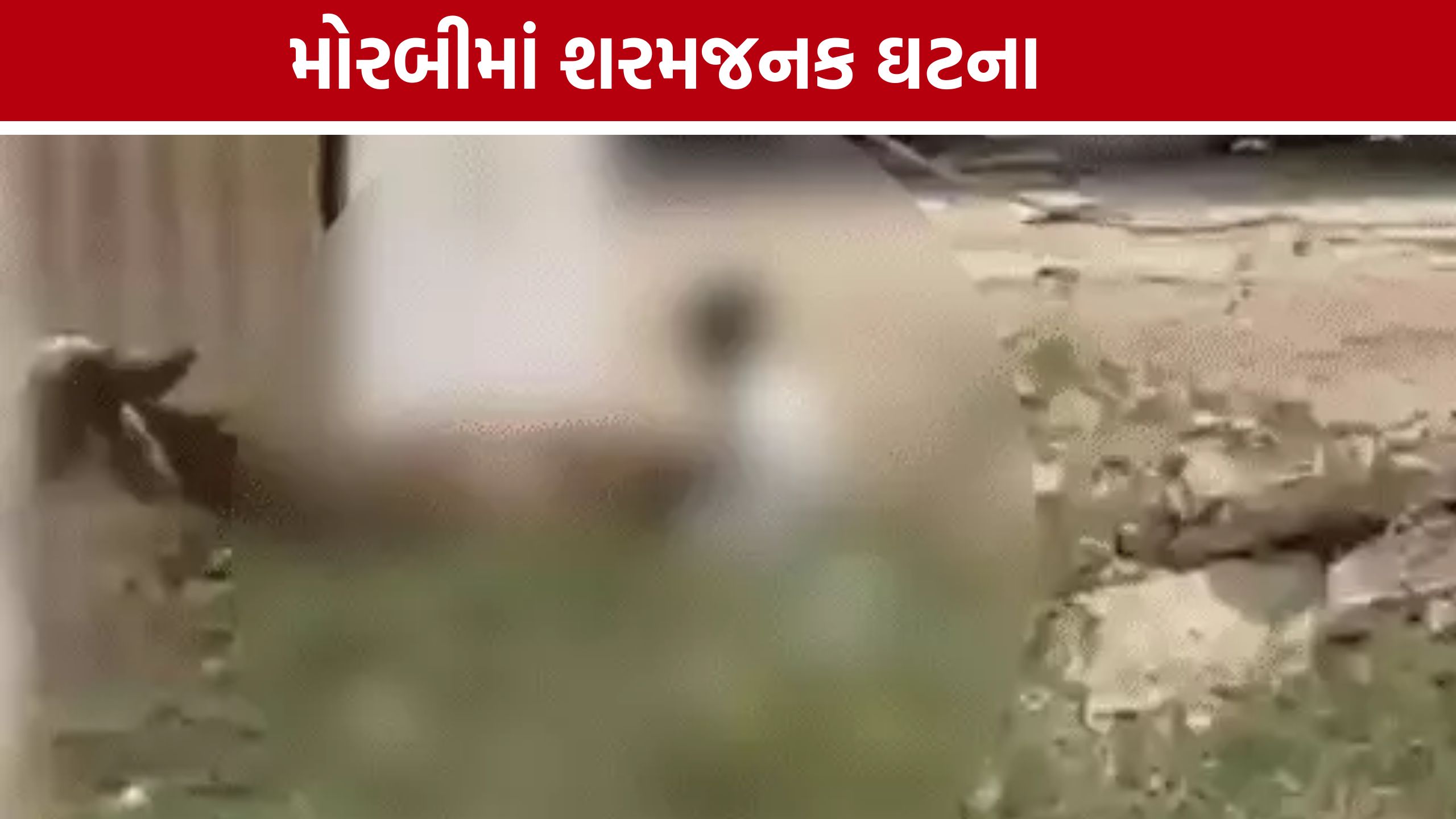 Cow Abuse Case: મોરબીમાં ગાય સાથે અશ્લીલ હરકતનો વીડિયો વાયરલ